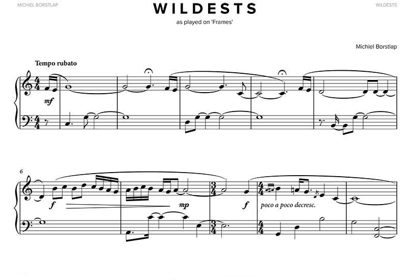 Michiel Borstlap - Wildests (download)